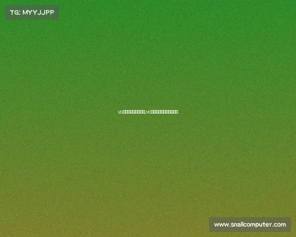 vc电子竞技俱乐部人员,vc电子竞技俱乐部百度百科